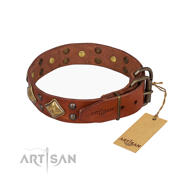 Full grain natural leather dog collar with amazing rust-proof adornments