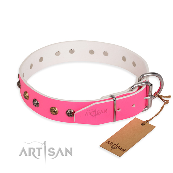Leather dog collar with unique durable studs