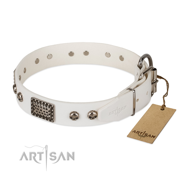 Corrosion resistant embellishments on basic training dog collar