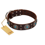 "Hypnotic Stones" FDT Artisan Brown Leather Mastiff Collar with Chrome Plated Brooches and Square Studs