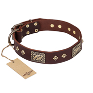 "Loving Owner" FDT Artisan Decorated Leather Mastiff Collar with Plates and Studs