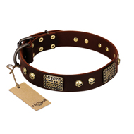 "Magic Amulet" Brown Leather Mastiff Collar with Skulls and Plates