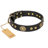 "Golden Radiance" FDT Artisan Black Leather Mastiff Collar with Old Bronze Look Ovals and Circles "Golden Radiance" FDT Artisan Black Leather Mastiff Collar with Old Bronze Look Ovals and Circles