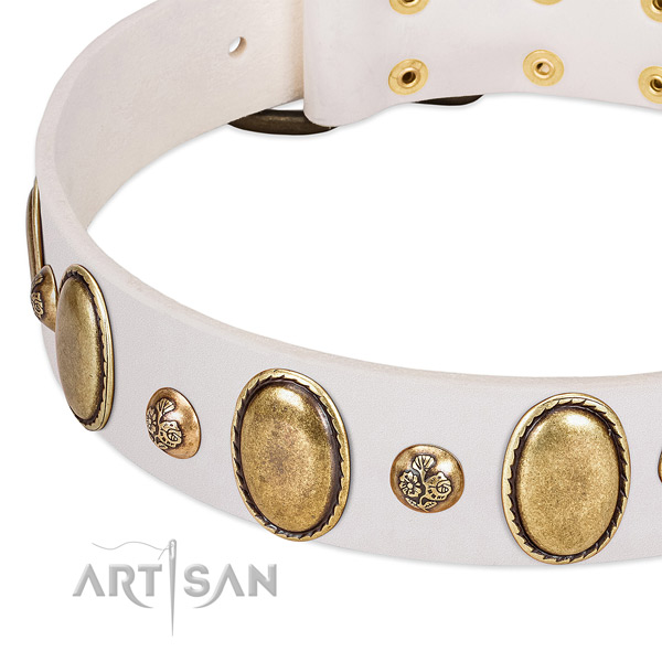 Genuine leather dog collar with exceptional studs