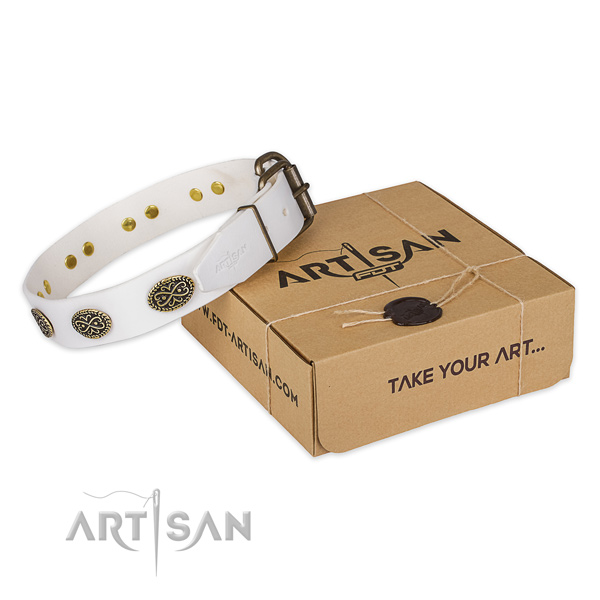 Corrosion resistant fittings on full grain leather dog collar for everyday use
