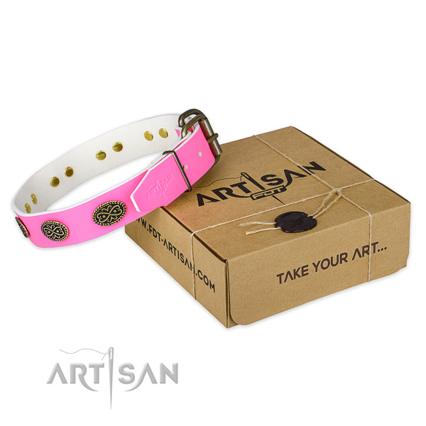 Adorned full grain leather dog collar for everyday walking