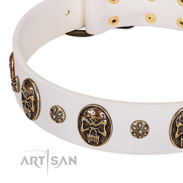 Durable studs on natural genuine leather dog collar for your canine