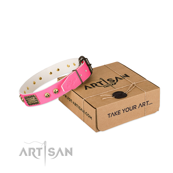 Corrosion proof fittings on dog collar for easy wearing