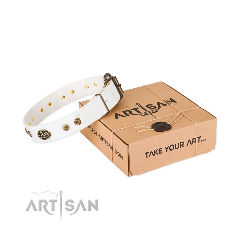 Durable adornments on leather dog collar for your pet