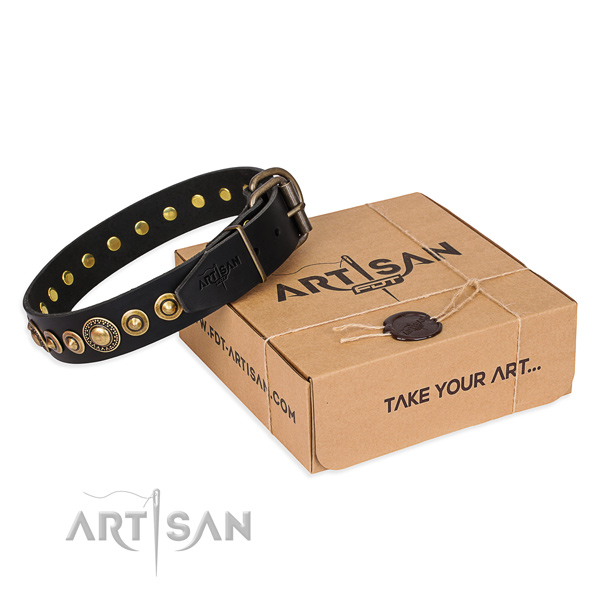 Top rate full grain natural leather dog collar made for basic training