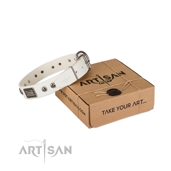 Rust-proof fittings on dog collar for daily walking