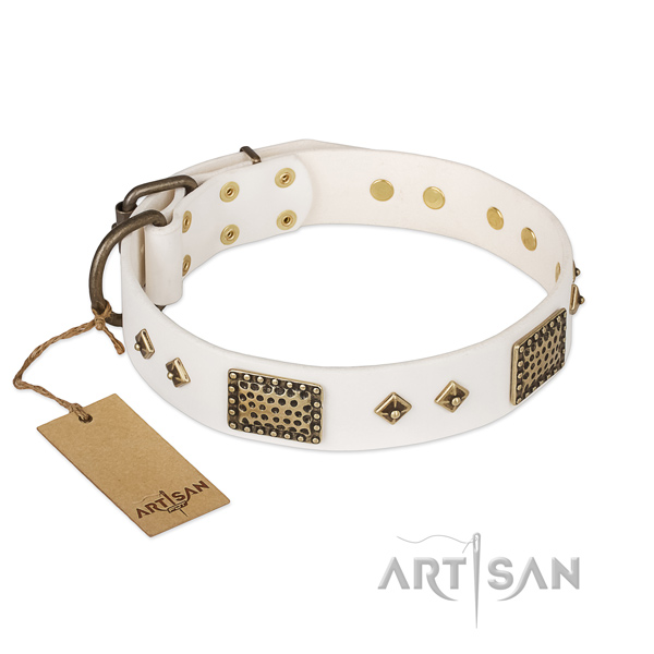 Trendy genuine leather dog collar for walking