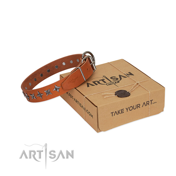 Easy wearing dog collar of finest quality full grain natural leather with studs