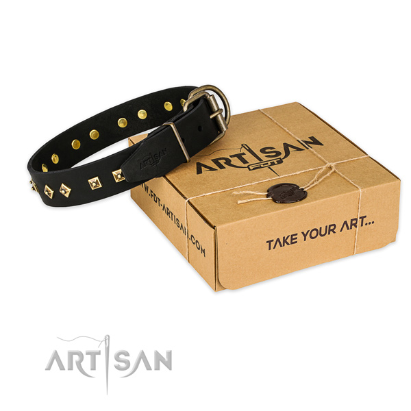 Corrosion resistant fittings on full grain leather dog collar for everyday use