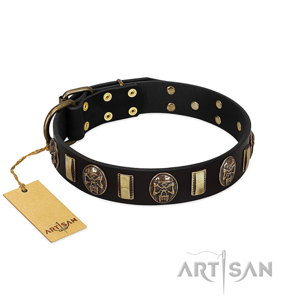 Top notch full grain leather dog collar for daily use