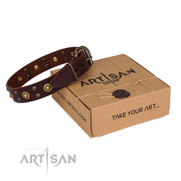 Rust-proof traditional buckle on leather collar for your attractive dog