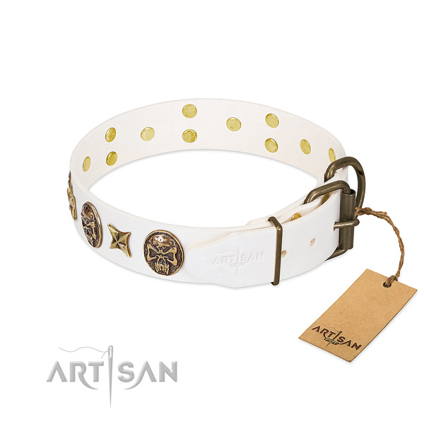 Rust-proof traditional buckle on natural genuine leather collar for basic training your pet