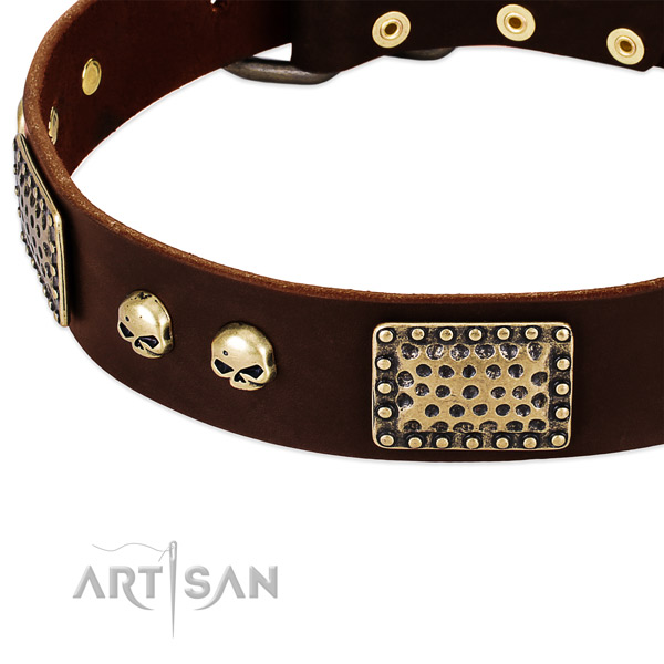 Rust resistant embellishments on leather dog collar for your dog