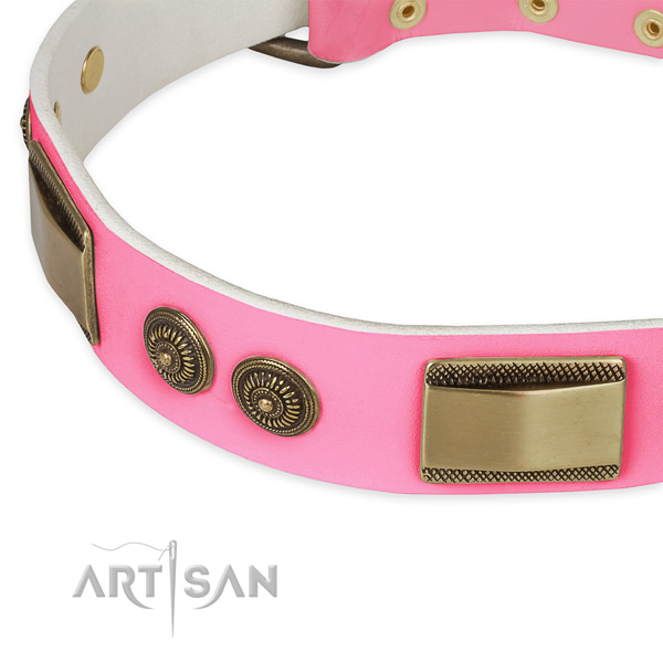 Full grain genuine leather dog collar with studs for stylish walking