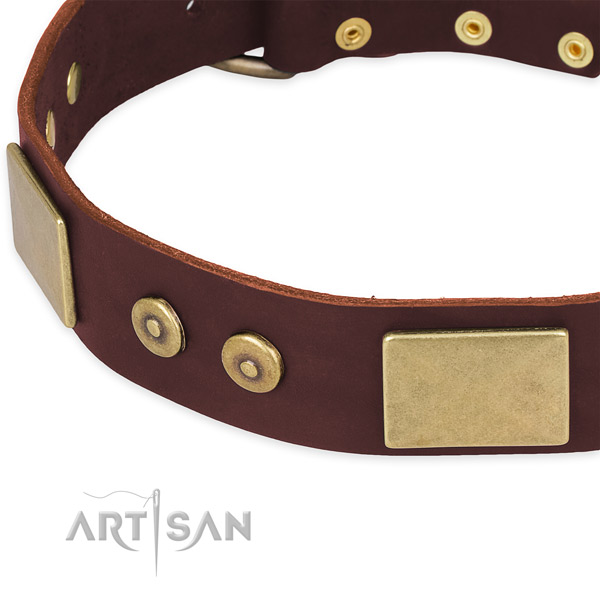 Full grain genuine leather dog collar with studs for stylish walking