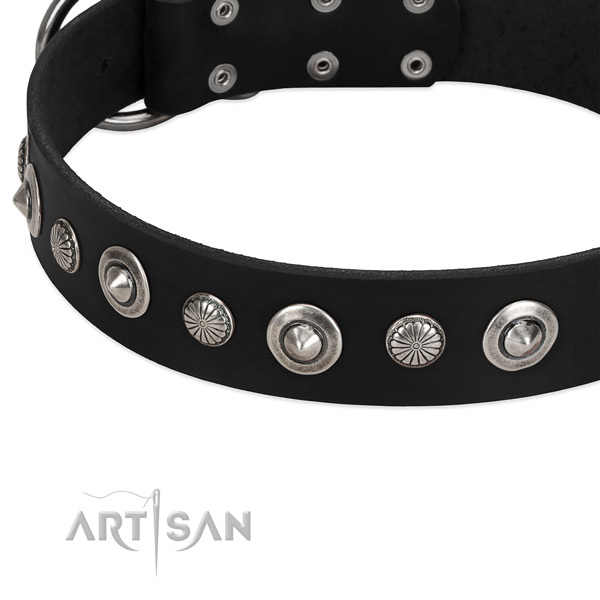 Everyday use studded dog collar of quality full grain leather
