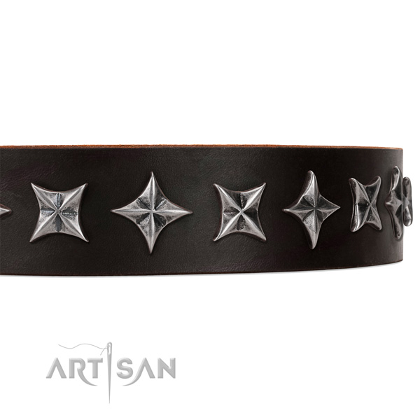 Everyday walking embellished dog collar of top quality full grain genuine leather