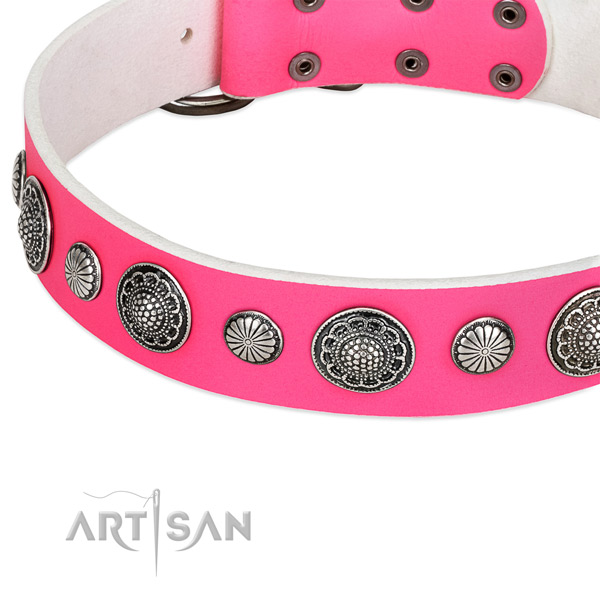 Leather collar with durable traditional buckle for your attractive pet