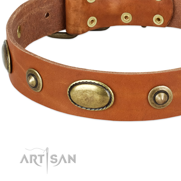 Corrosion proof fittings on natural leather dog collar for your dog