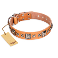 "Glamour Finery" FDT Artisan Female Mastiff collar of natural leather with stylish old-looking circles "Glamour Finery" FDT Artisan Female Mastiff collar of natural leather with stylish old-looking circles