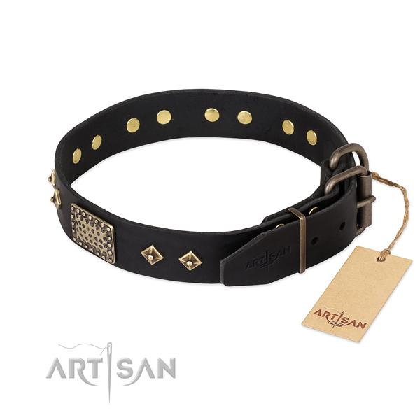 Leather dog collar with rust-proof hardware and embellishments