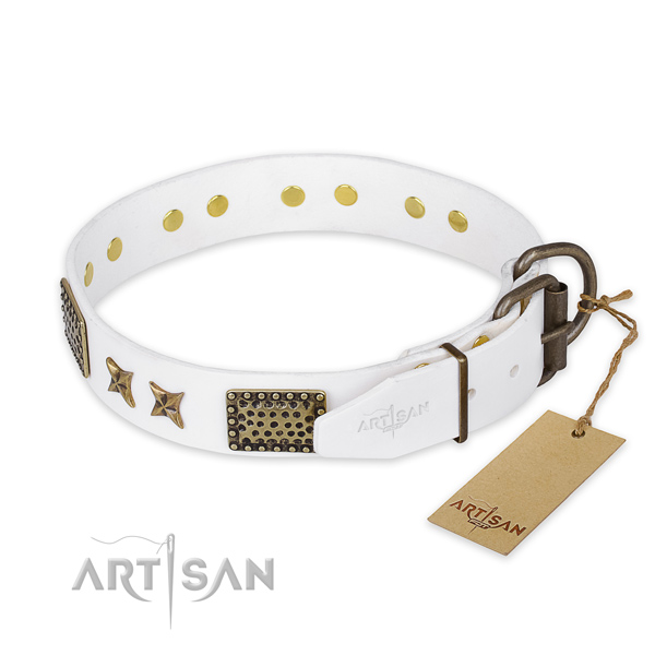 Strong fittings on full grain leather collar for your attractive doggie