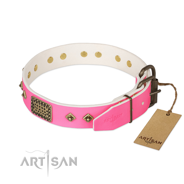 Rust-proof embellishments on daily use dog collar