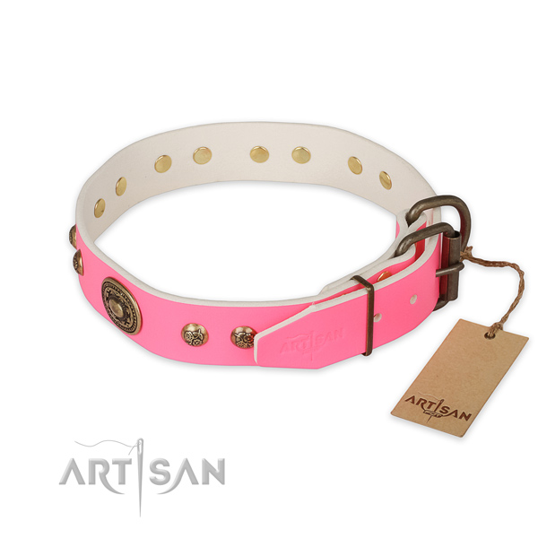 Rust-proof D-ring on leather collar for basic training your canine