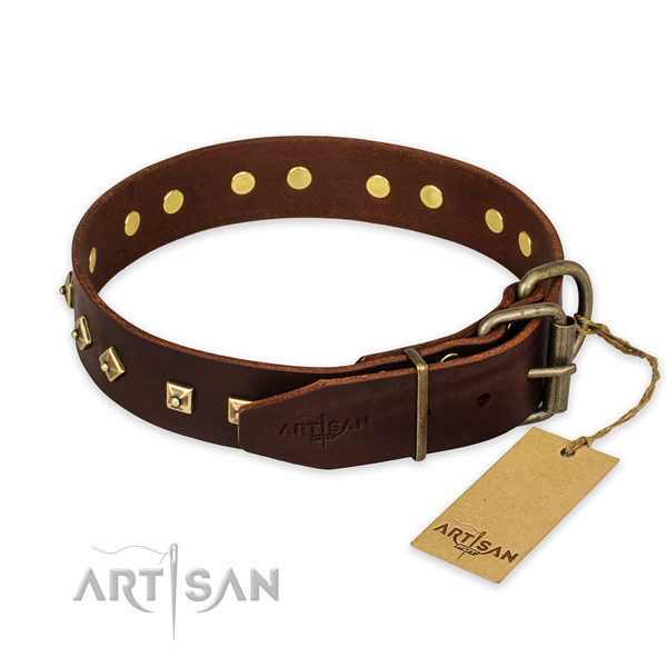 Rust resistant buckle on genuine leather collar for basic training your four-legged friend