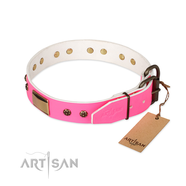 Corrosion proof traditional buckle on genuine leather dog collar for your pet