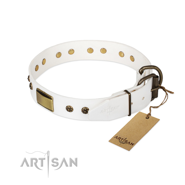 Leather dog collar with corrosion proof traditional buckle and decorations