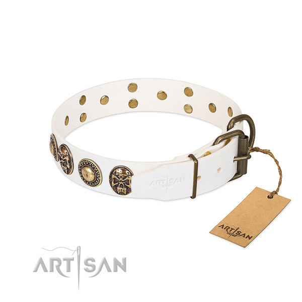 Strong studs on basic training dog collar