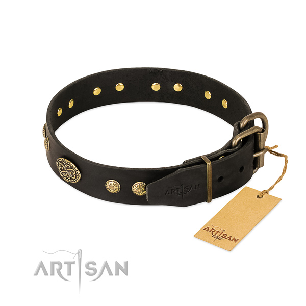 Rust resistant studs on full grain natural leather dog collar for your dog