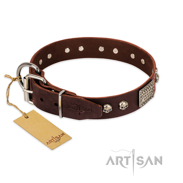 Corrosion proof traditional buckle on everyday use dog collar