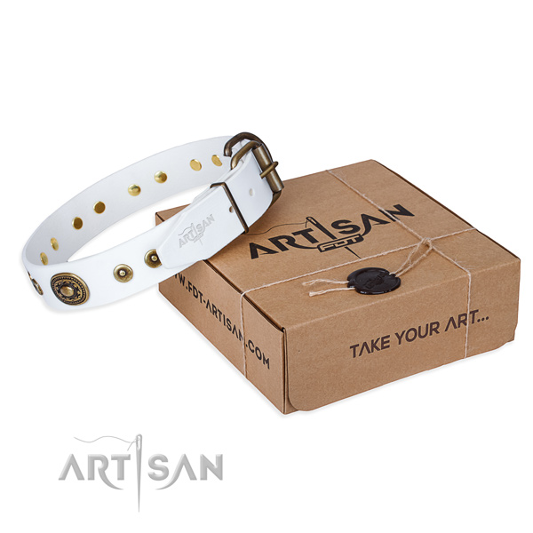 Full grain leather dog collar made of reliable material with reliable buckle
