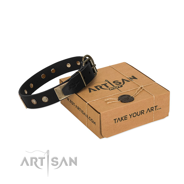 Rust resistant traditional buckle on dog collar for comfy wearing
