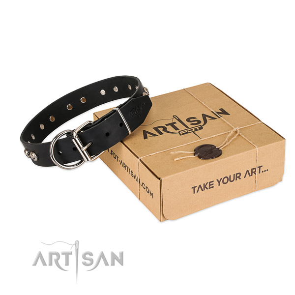 Reliable studs on dog collar for easy wearing