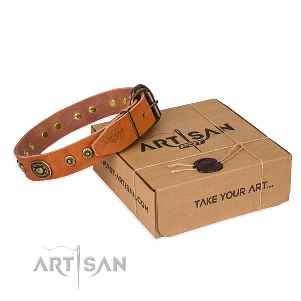 Full grain leather dog collar made of soft material with rust-proof traditional buckle