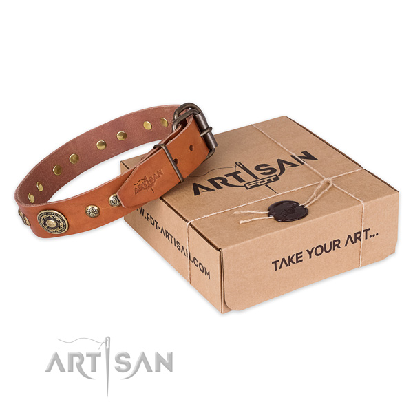 Strong hardware on full grain leather dog collar for basic training