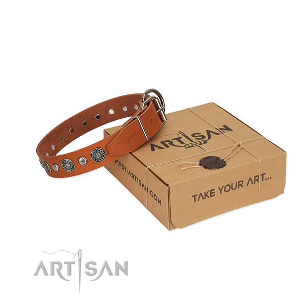 High quality full grain genuine leather dog collar with unusual studs