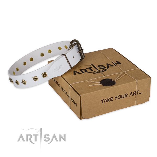 Corrosion proof traditional buckle on genuine leather dog collar for everyday use