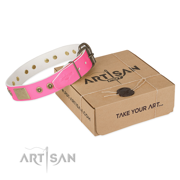 Strong adornments on dog collar for everyday walking