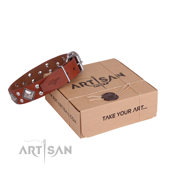 Handy use dog collar with Fashionable strong decorations