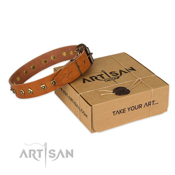 Rust resistant traditional buckle on full grain leather dog collar for comfy wearing