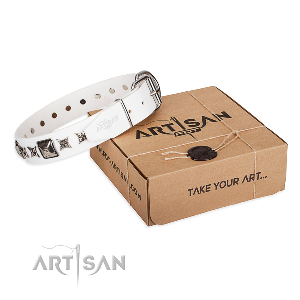 Daily walking full grain leather dog collar with embellishments